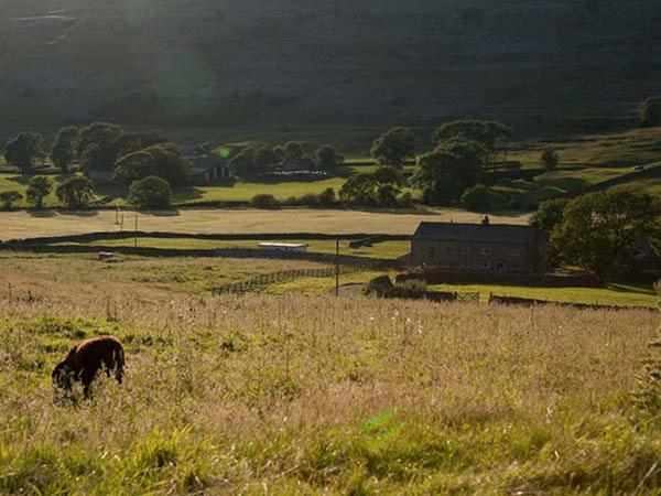 Dale House Farm Cottage Weathercote 外观 照片