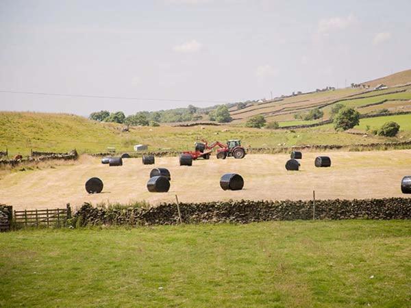 Dale House Farm Cottage Weathercote 外观 照片